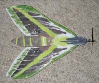 Flugmodell aus Depron