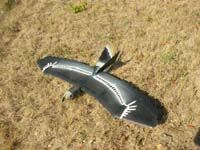 Flugmodell Eagle / Raubvogel