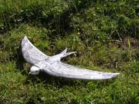 Flugmodell Alpensegler