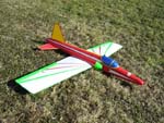 Flugmodell F20 Tigershark